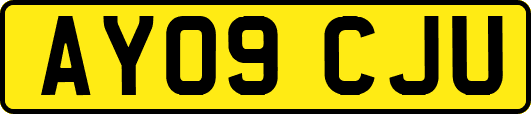 AY09CJU