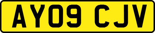 AY09CJV