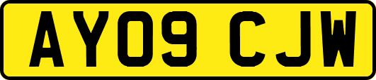 AY09CJW