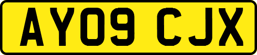AY09CJX
