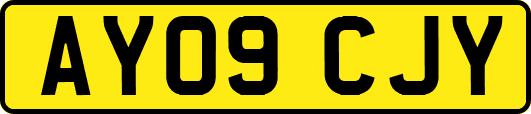 AY09CJY