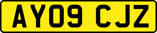 AY09CJZ