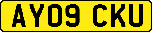 AY09CKU