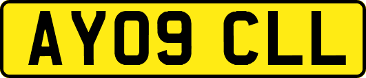 AY09CLL