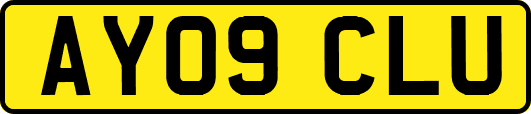 AY09CLU