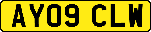 AY09CLW