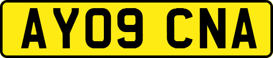 AY09CNA