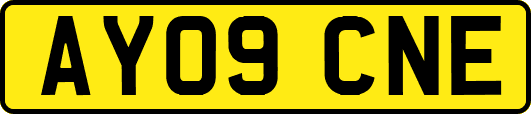 AY09CNE