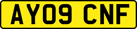 AY09CNF