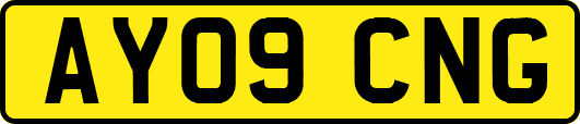 AY09CNG
