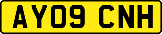 AY09CNH