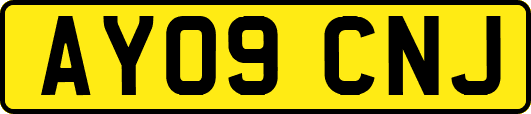 AY09CNJ
