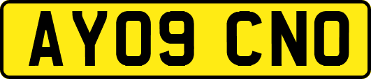 AY09CNO
