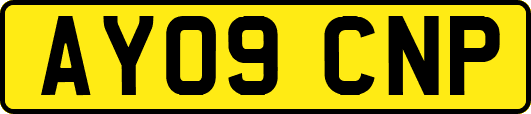 AY09CNP