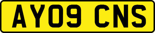 AY09CNS