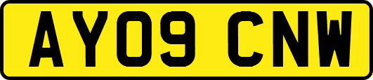 AY09CNW