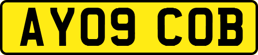 AY09COB