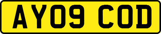 AY09COD