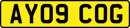 AY09COG