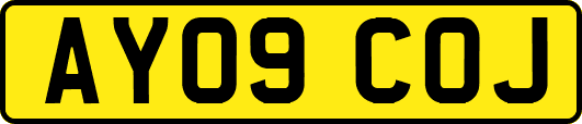 AY09COJ