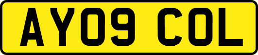 AY09COL