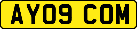 AY09COM
