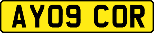 AY09COR
