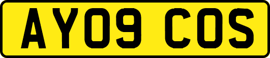 AY09COS