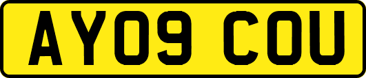 AY09COU