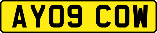 AY09COW