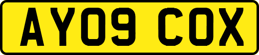 AY09COX
