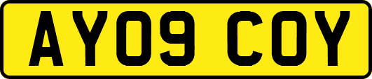 AY09COY