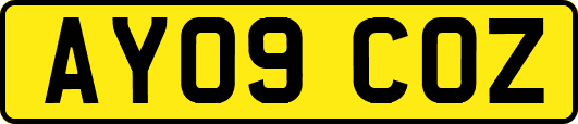 AY09COZ