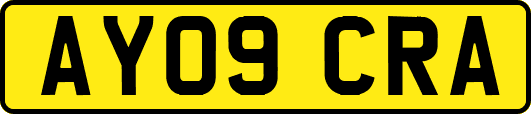 AY09CRA
