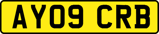 AY09CRB