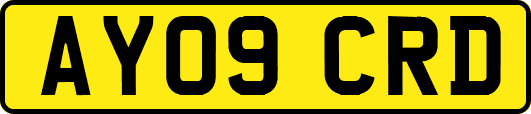 AY09CRD