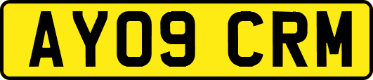 AY09CRM