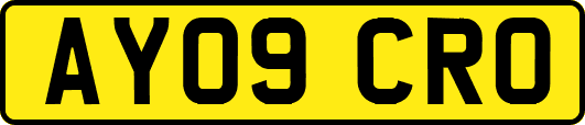 AY09CRO