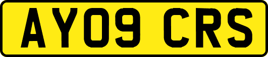 AY09CRS
