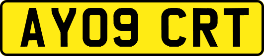 AY09CRT