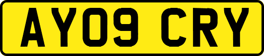 AY09CRY