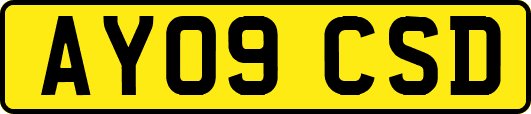 AY09CSD