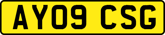 AY09CSG