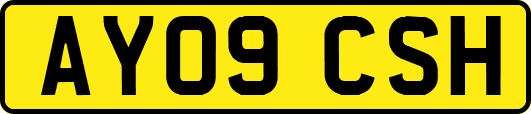AY09CSH