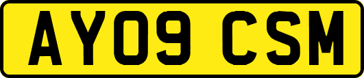AY09CSM
