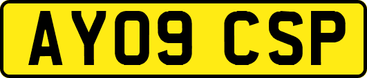 AY09CSP