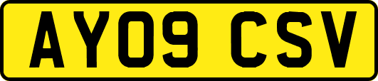 AY09CSV