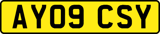 AY09CSY