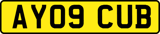 AY09CUB