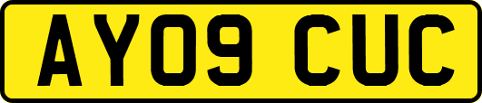 AY09CUC